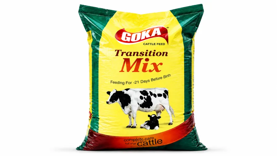 Goka Transition -21 - buy in Anantnag at Falah Enterprises