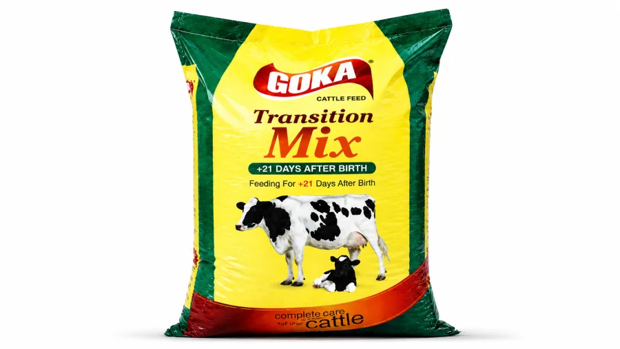 Goka Transition +21 - buy in Anantnag at Falah Enterprises