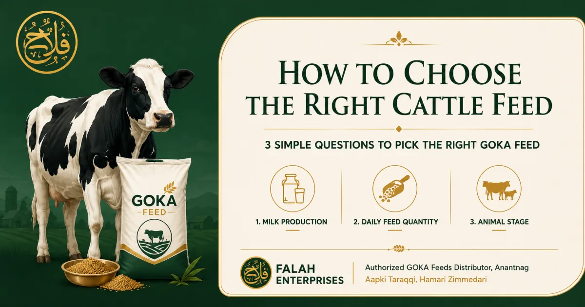 How to Choose the Right Cattle Feed: A Simple Guide for Dairy Farmers
