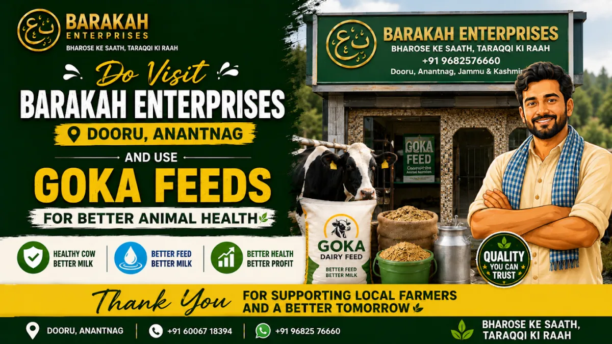 Barakah Enterprises